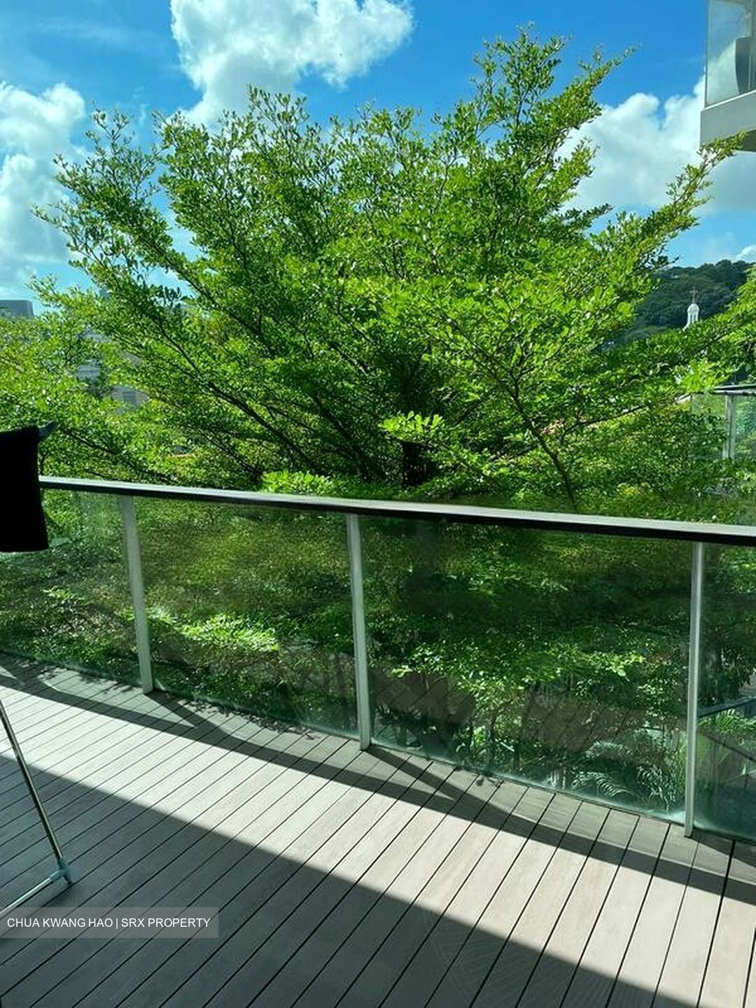 Belle Vue Residences (D9), Condominium #480004461